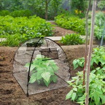 14382 - Clear Cover Greenhouse-in-situ